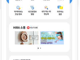 심평원, 2025 국가서비스대상 ‘의료정보 앱 부문’ 수상