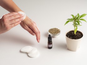 식약처, “칸나비디올(CBD)은 추출부위 관계없이 ‘대마’ 해당”