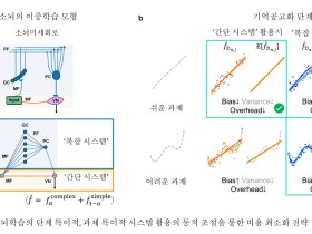 AI 이론으로 뇌의 기억 저장 방식 ‘규명’