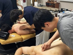 지역 공공한의의료에 ‘침도’까지공보의, 만성통증 치료 외연 확장