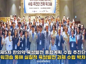 [자막뉴스] '제5차 한의약 육성발전 종합계획' 수립 추진단 전체 워크숍 개최