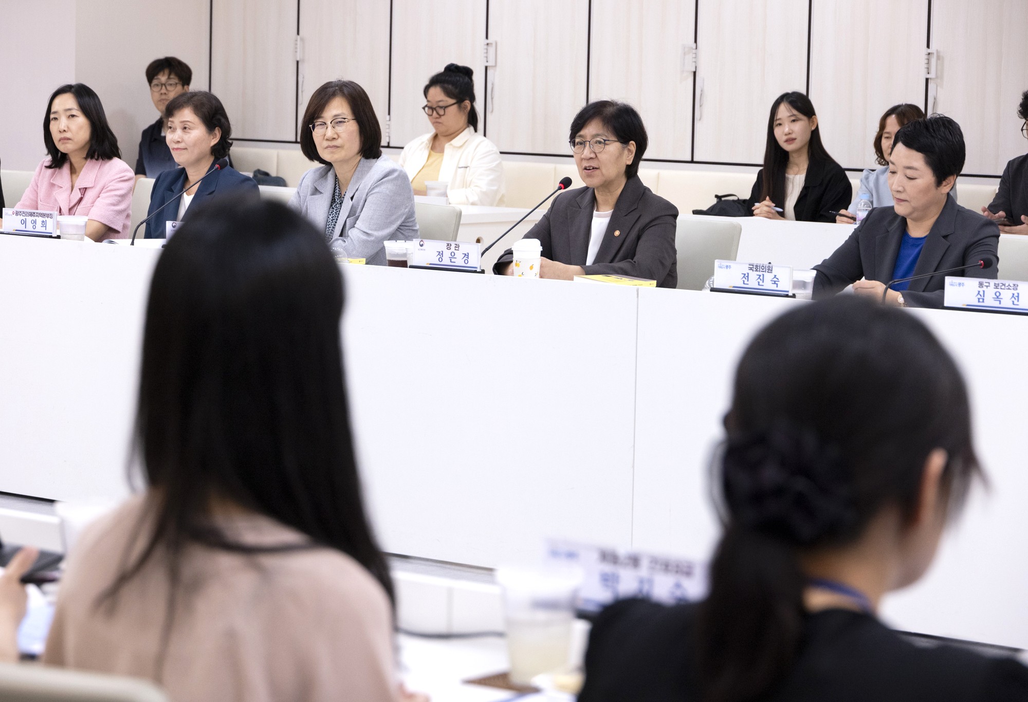 통합톨봄추진본부 구성.jpg