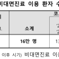 비대면진료 5년간 492만명 이용…제도화 논의 본격화