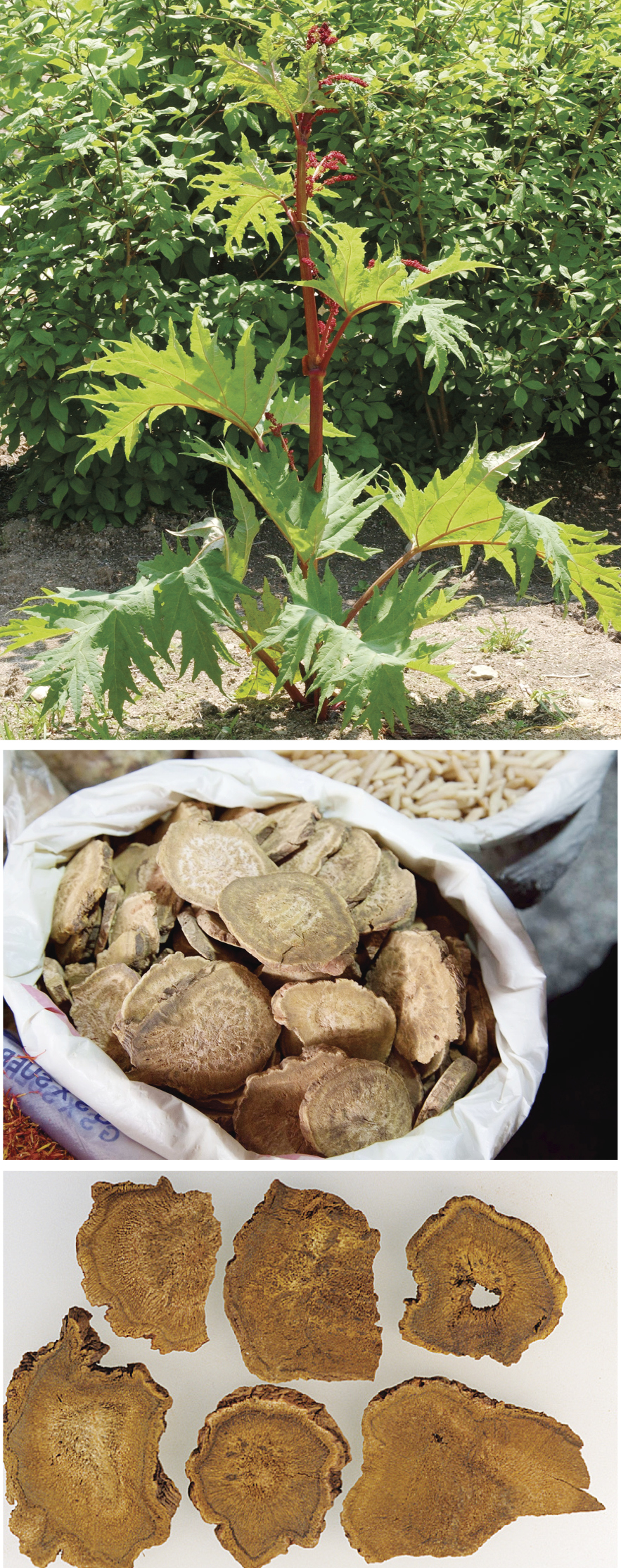 2511-27 김호철.jpg