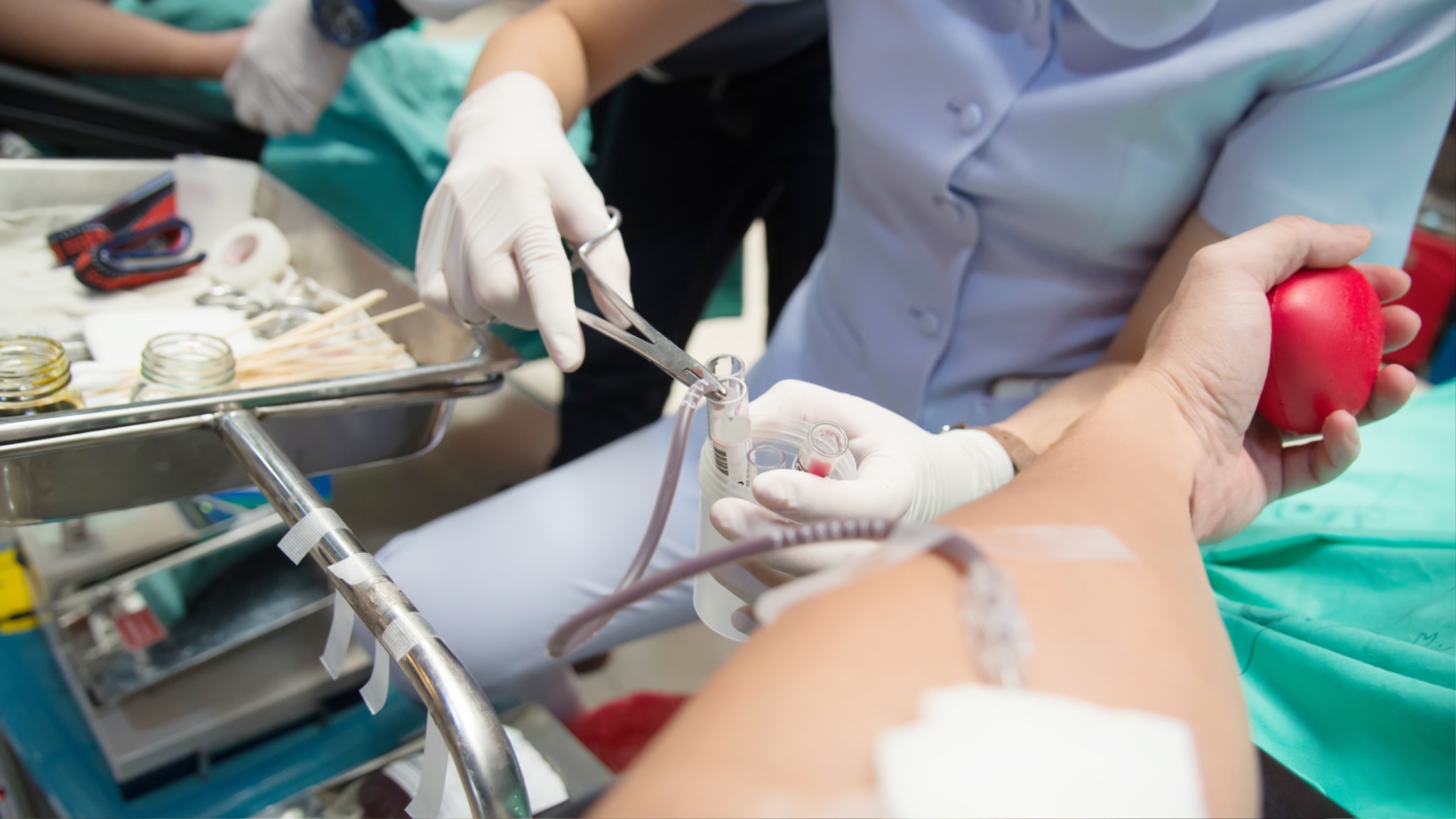 김은혜 교수님2.jpg