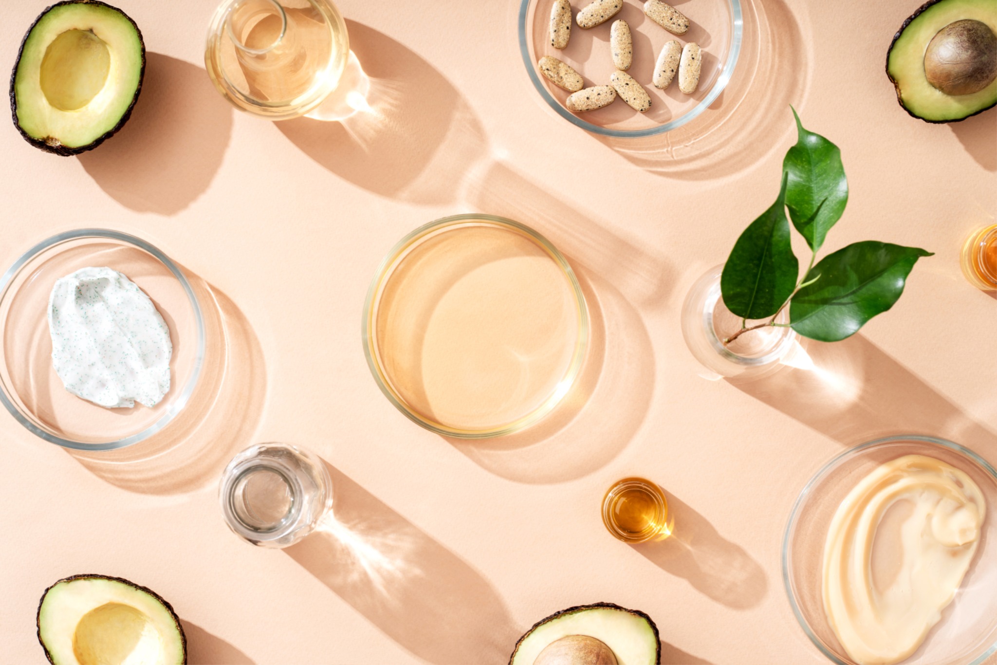 김호철 교수님3.jpg