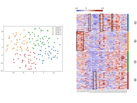 인공지능 통한 기능성 소화불량 환자 변증 패턴 ‘재발견’