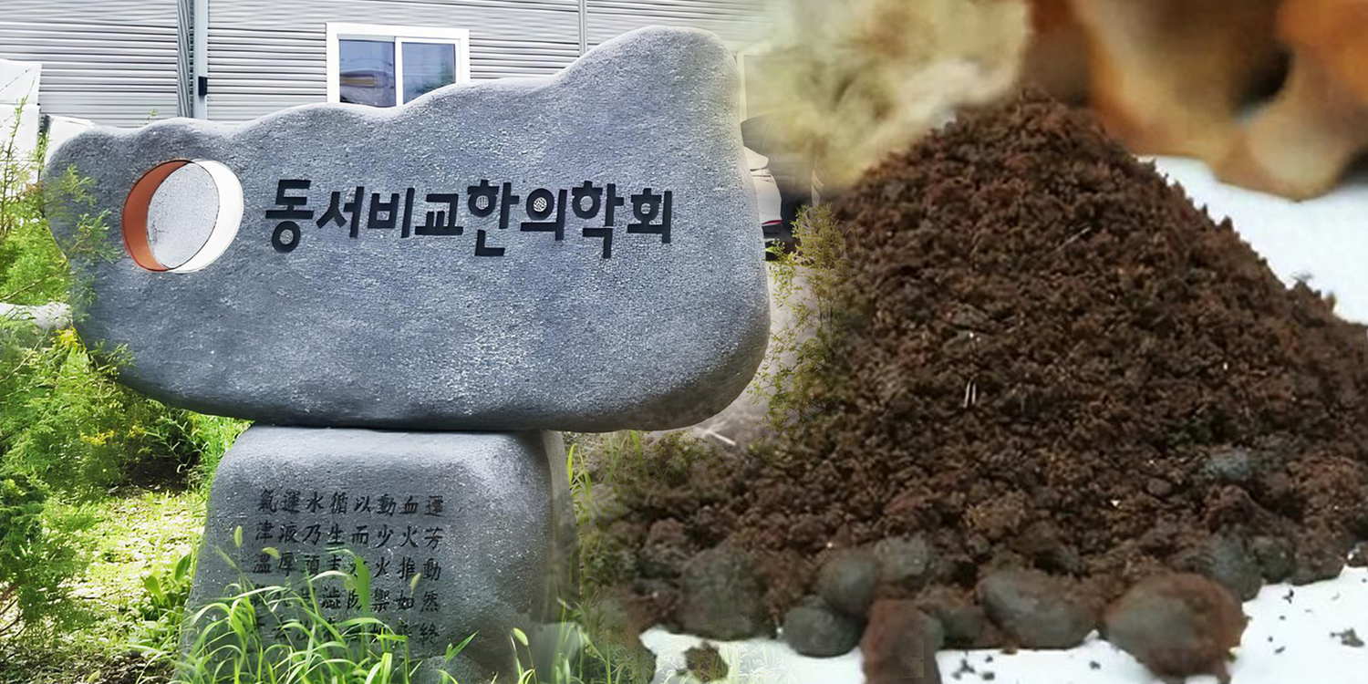 동서비교 사향.jpg