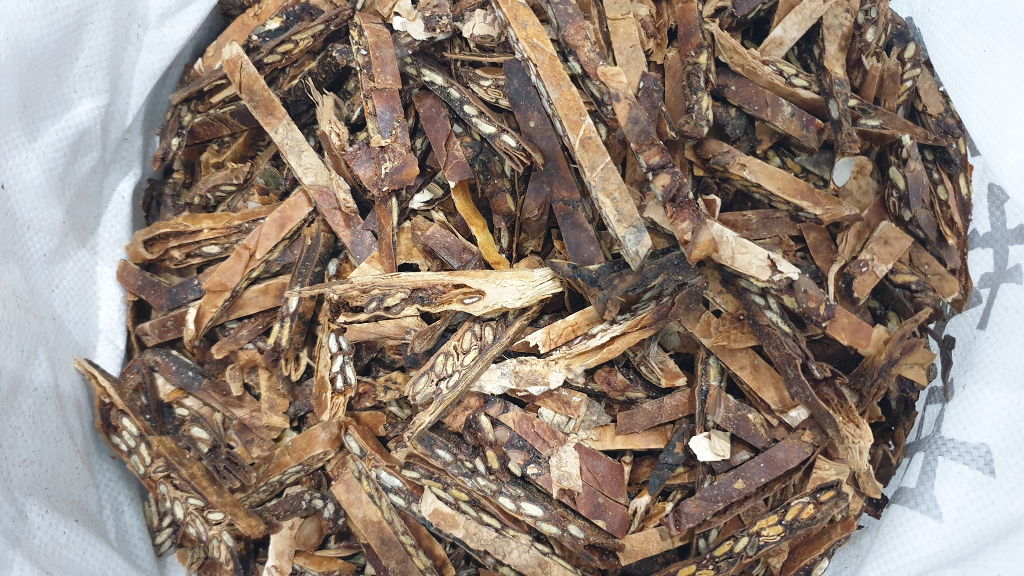 사진 5 둥근 괄루인을 압착해서 길게 자른 모습 20250622_090446 &copy박종철.jpg