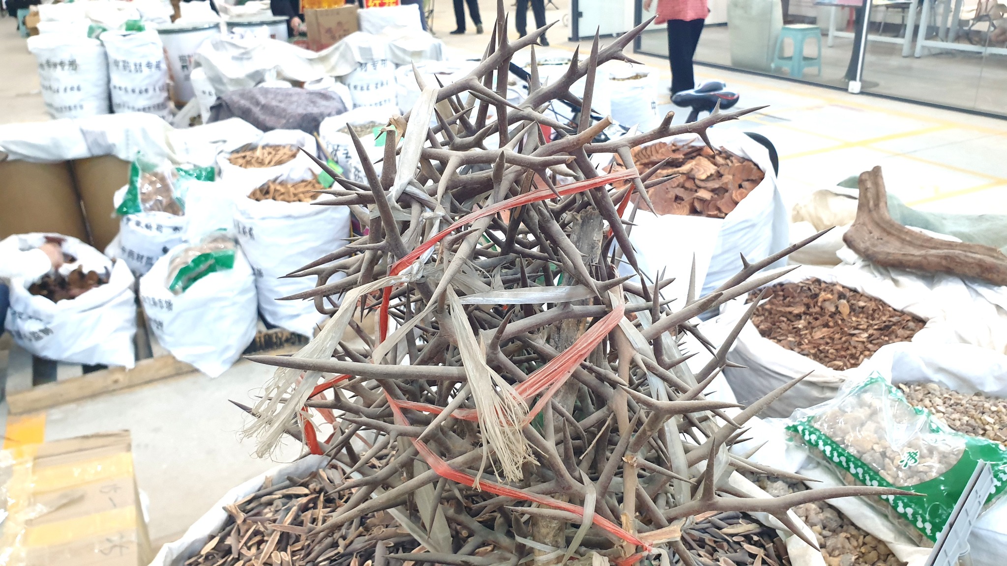 사진 8 안국약재시장에서 팔고 있는 조각자 20250622_095006&copy박종철.jpg