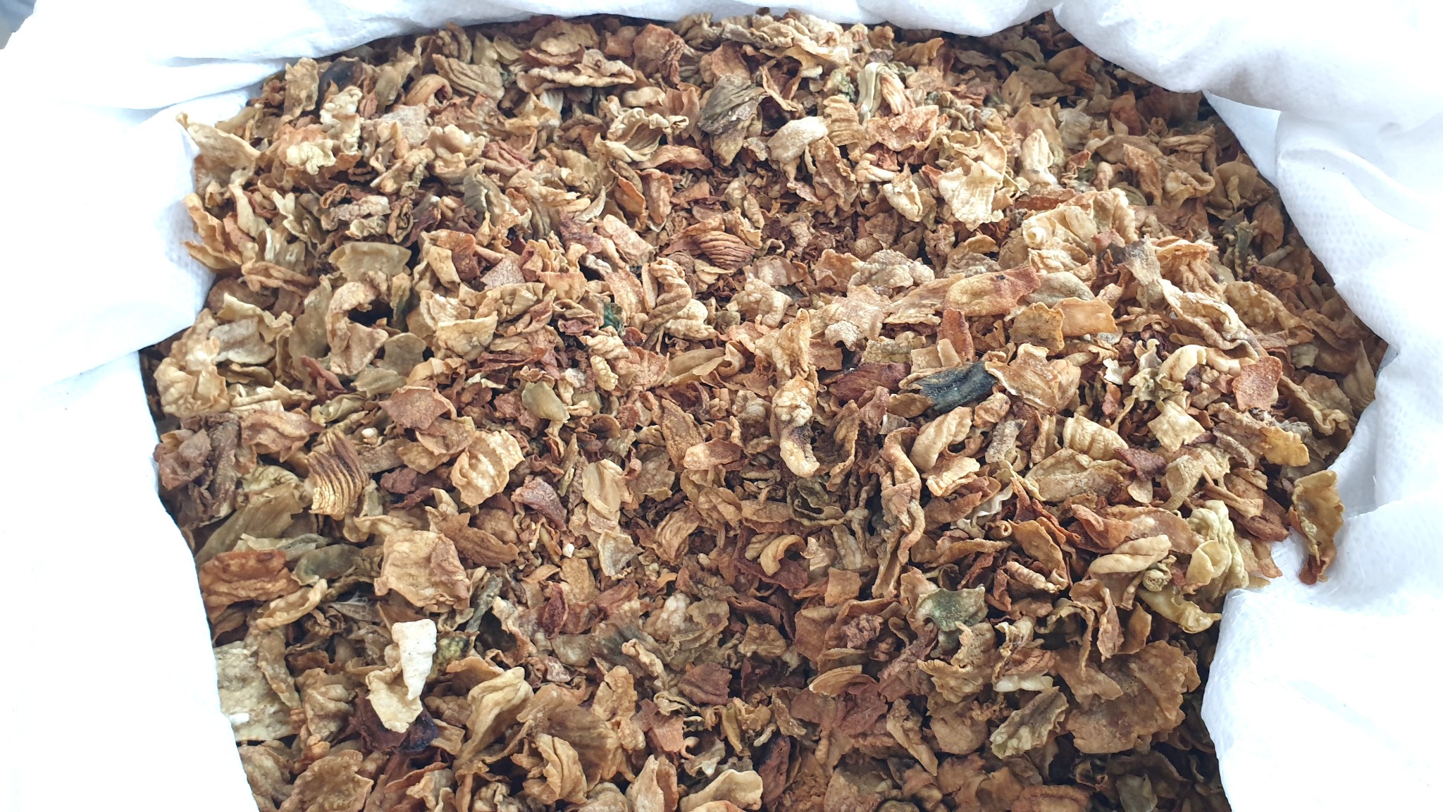 사진 9 닭 모래주머니의 내막인 계내금 20250920_135825 계내금&copy박종철.jpg