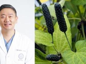 필발(蓽茇) 추출물, 알츠하이머·우울증 동시 완화 효과 입증