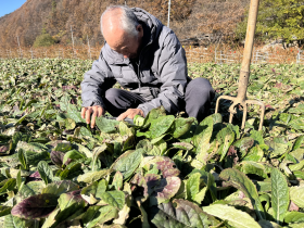 고품질 한약재 확보 위한 지속적인 노력 ‘눈길’