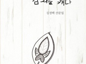 “보리밭에서 삶의 의미를 사유하다”