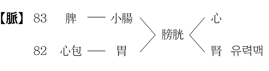 2532-22 형상의학회(최영성).jpg