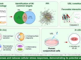 한약재 ‘우슬’의 안구건조증 개선 효과 규명