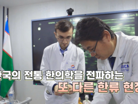 한국 한의학을 전파하는 한류 현장 소개