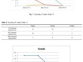 위장관 증상 치료로 모낭염까지 호전된 사례 보고