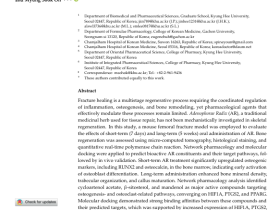 한약재 ‘사삼’, 골절 치유 촉진 효과 입증