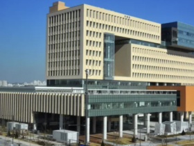 국세청, 한의사 11명 등 전국 모범납세자에 표창 수여