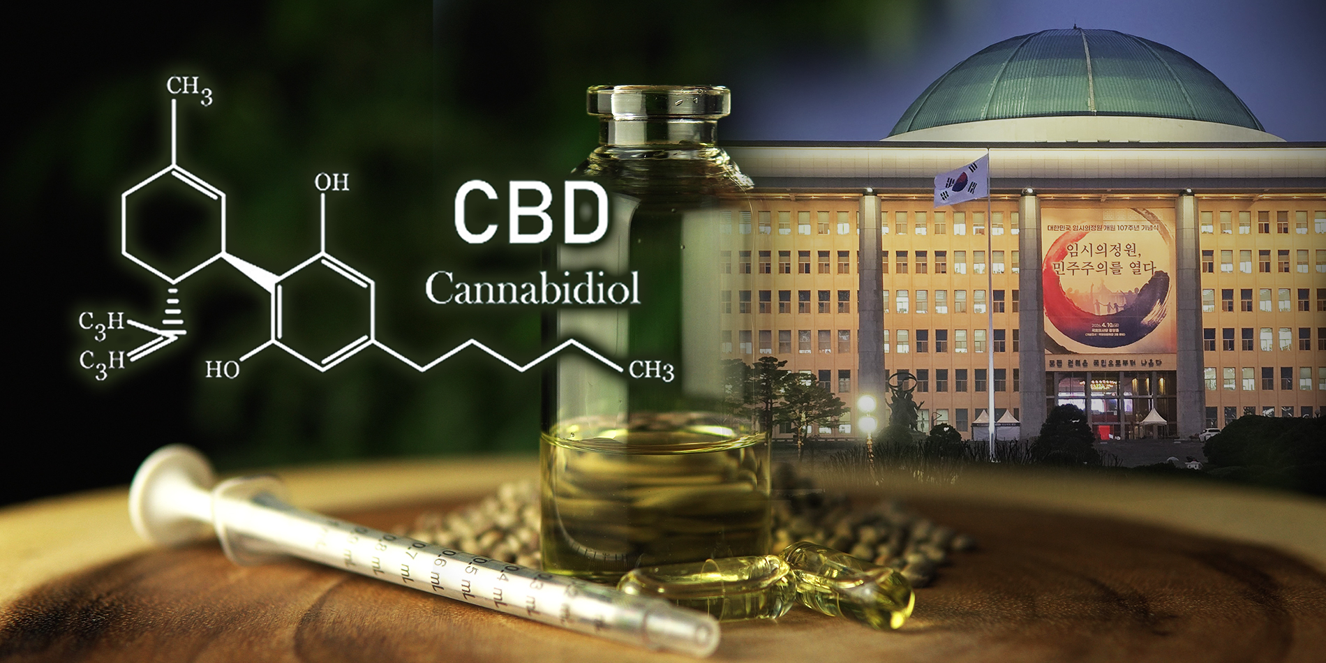 대마, 의약·산업 활용 입법 재개…기능성 성분 CBD 중심 재분류 추진