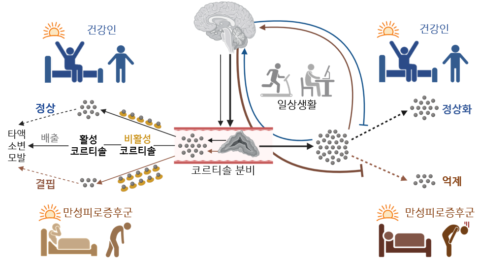 만성피로1.png