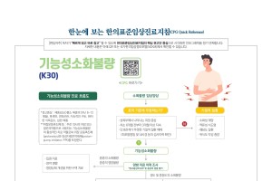 한눈에 보는 한의표준임상진료지침 - 기능성소화불량