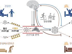 “만성피로증후군, 호르몬 부족 문제 아니다”