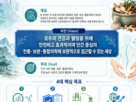 ‘WHO 글로벌 전통의약 전략 2025~2034’에 담긴 목표는?