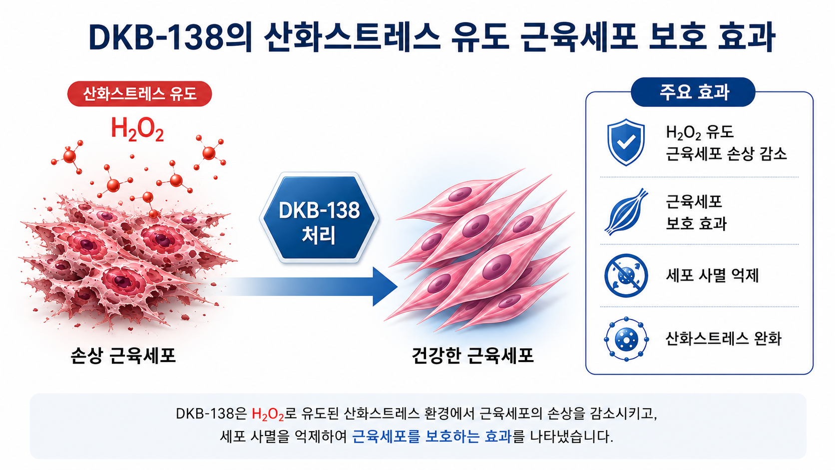 [AI 활용 이미지]연구모식도3(개선3).png