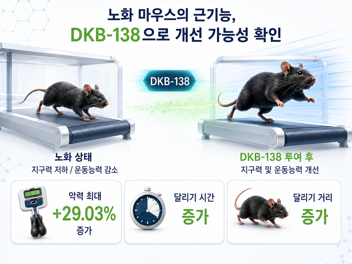 [AI 활용 이미지] 노화 마우스 운동능력 회복(개선3).png