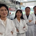 우울증 '웃는 표정 감소'…뇌회로 및 후성유전체 연관성 확인