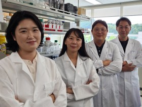 우울증 '웃는 표정 감소'…뇌회로 및 후성유전체 연관성 확인