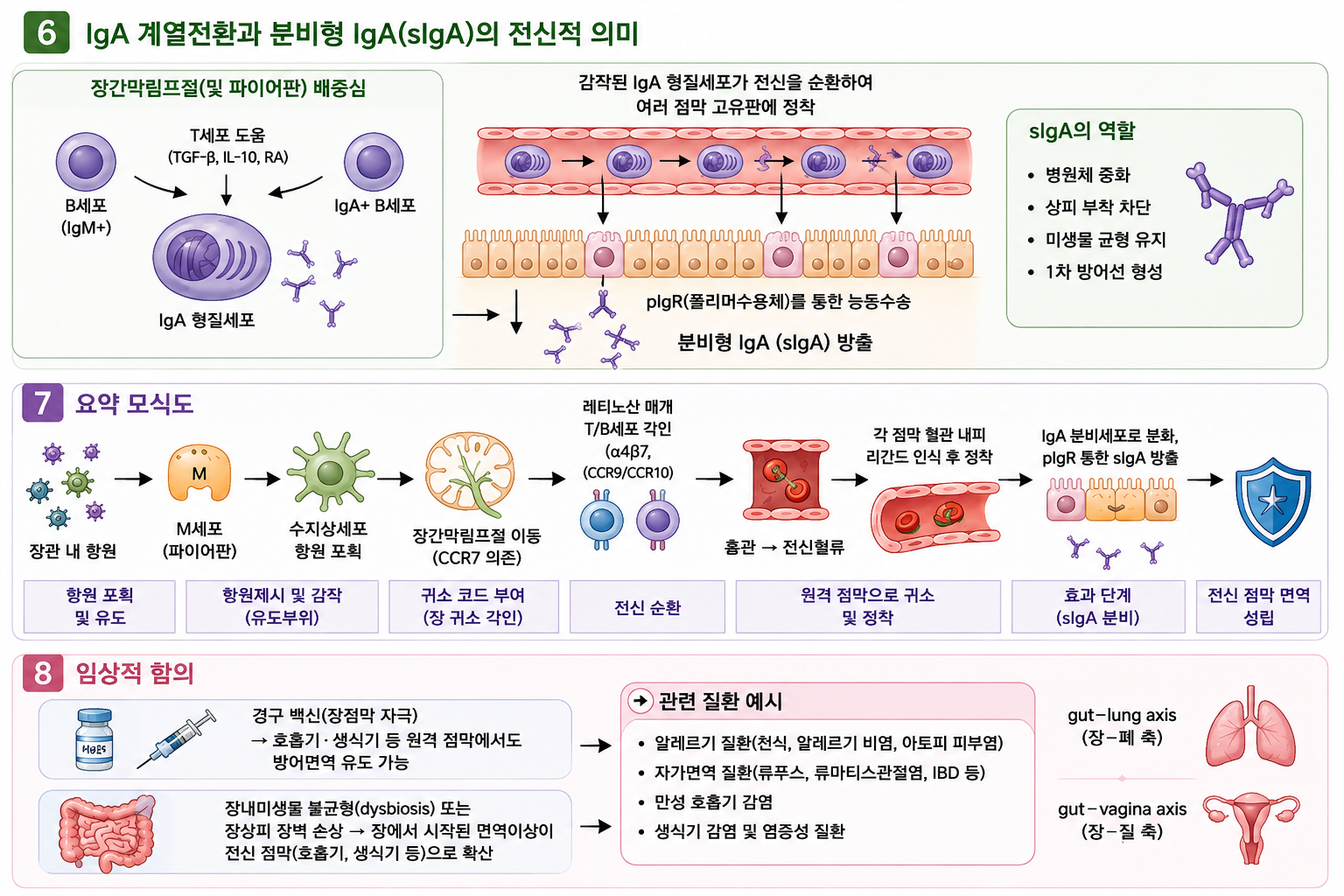 성장치료 기고문 중편 3.png
