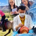 “몽골을 달린 K-Medi…외국인환자 진료, 이제 찾아가는 임상으로”