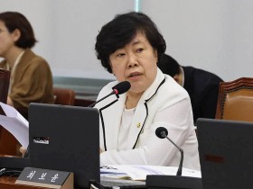 중국인 등 체납 건보료 551억원 ‘손실처리’…“출국하면 끝?”