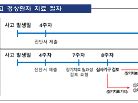 자동차사고 경상환자, 8주 초과 치료시 검토절차 도입
