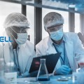 삐뚤어진 천연물 신약의 꿈…불공정 R&D·주식거래 의혹 확산