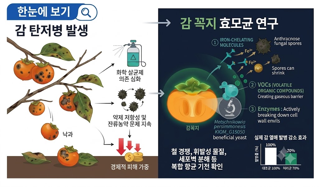 한의학연 친황경 원리2.jpg