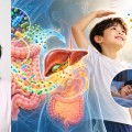 키를 키우는 腸, 마음을 세우는 膽…‘성장’의 새 해법