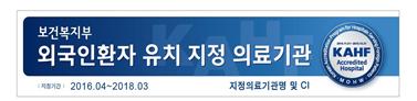 의료광광