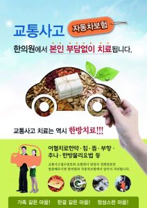 자동차보험