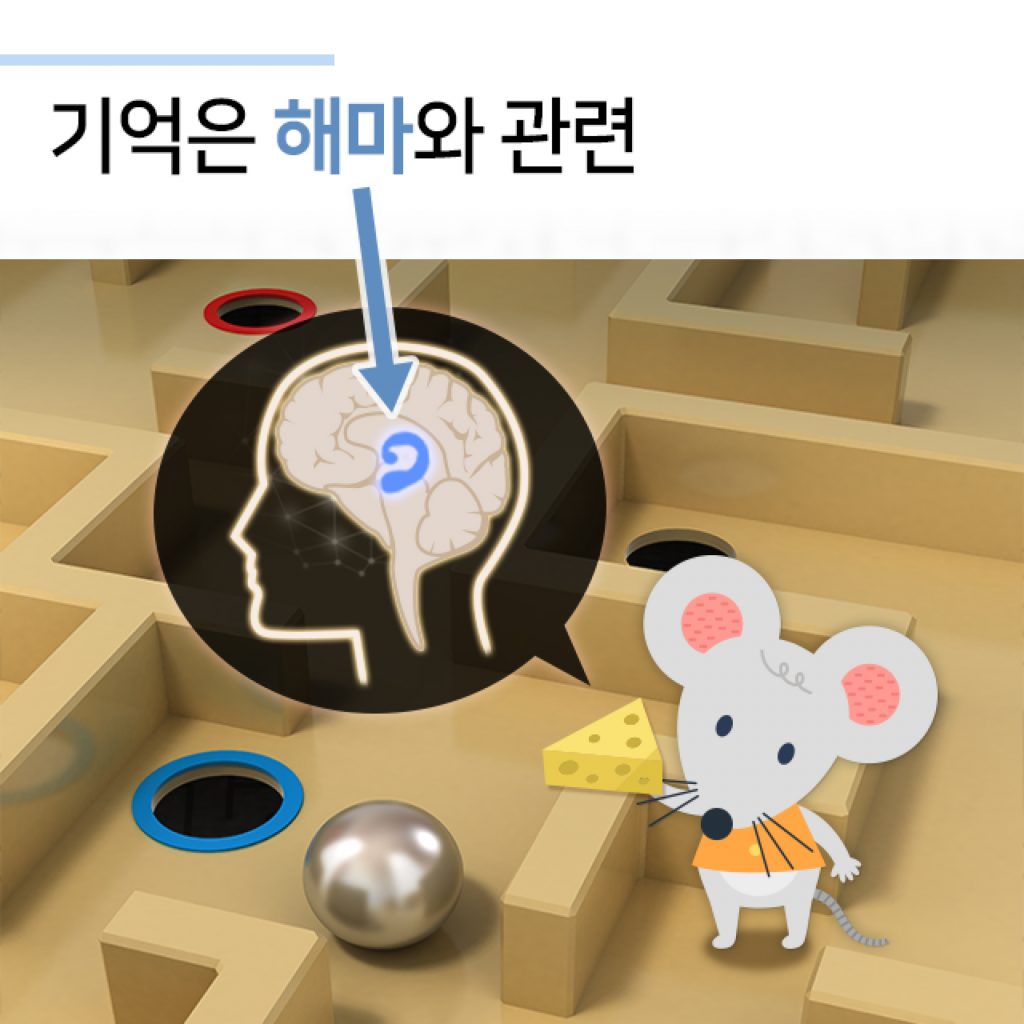 0622 불안증_수정