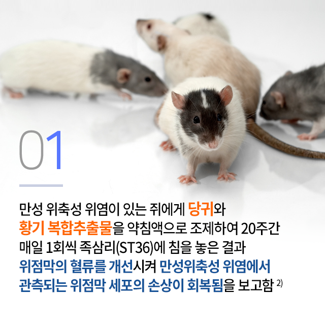 1112_만성위축성위염_07