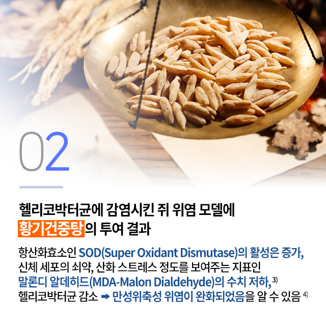 1112_만성위축성위염_08