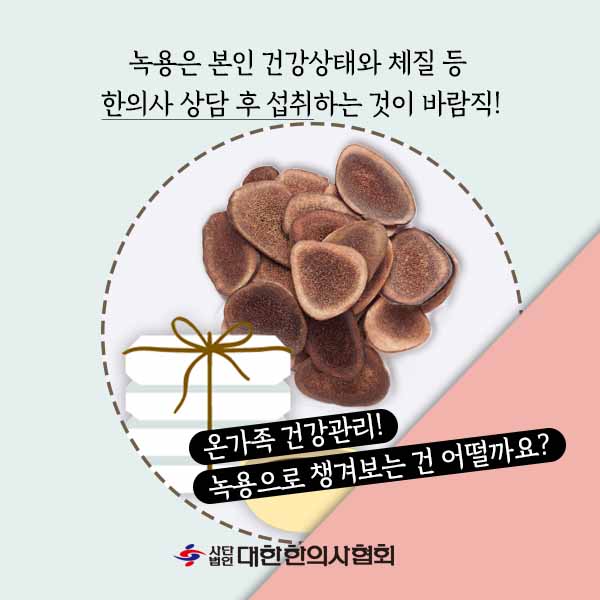 녹용2-10