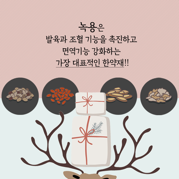 녹용2-2