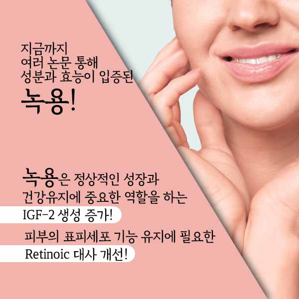 녹용2-4