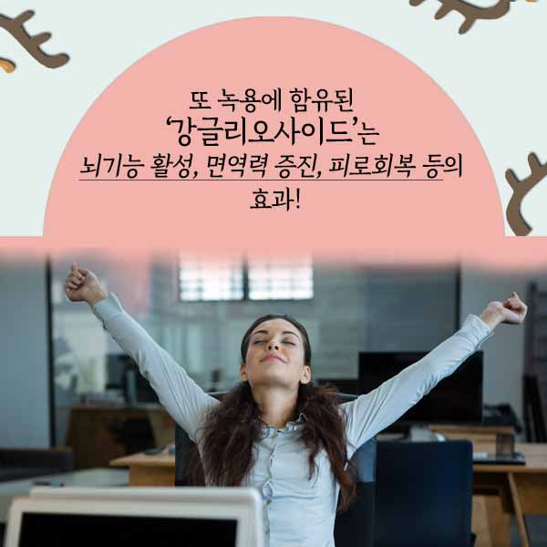 녹용2-6