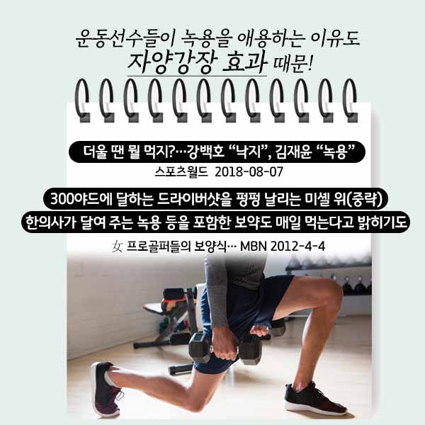 녹용2-7